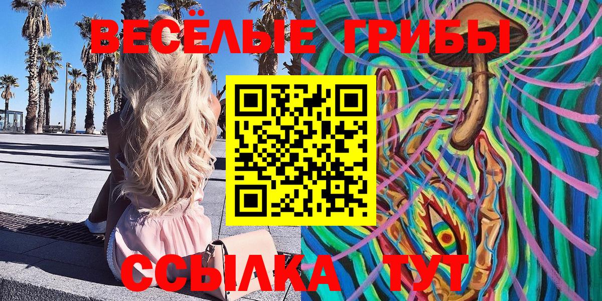 Псилоцибиновые грибы Psilocybine cubensis Арсеньев